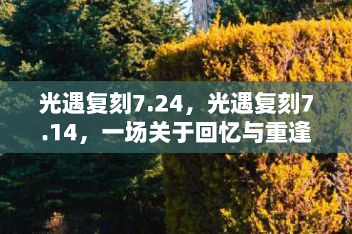 一场关于回忆与重逢的旅行图片