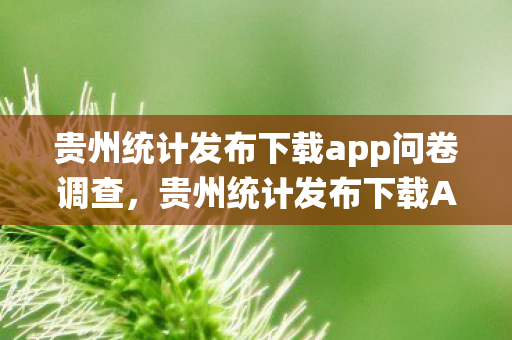 贵州统计发布下载app问卷调查图片