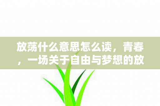 一场关于自由与梦想的放荡记图片