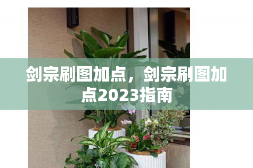 剑宗刷图加点2023指南图片