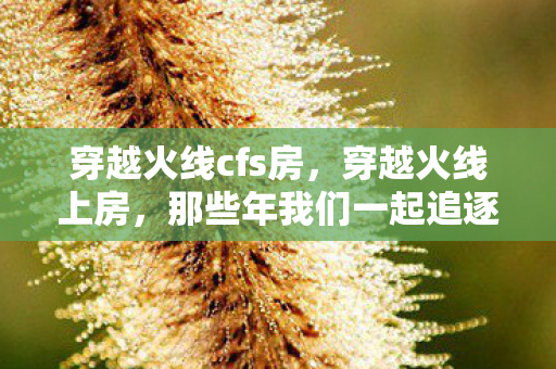 那些年我们一起追逐的激情与回忆图片