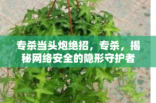 揭秘网络安全的隐形守护者图片