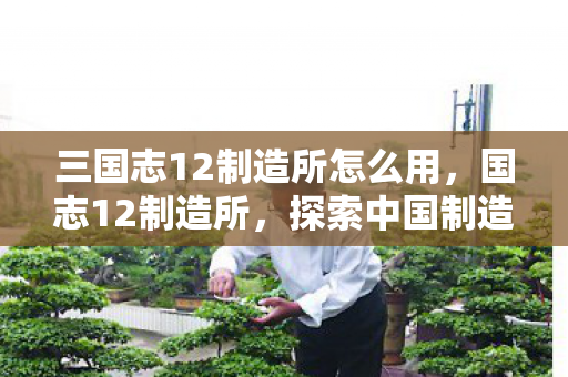 探索中国制造业的崛起之路图片