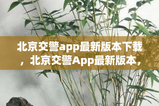 北京交警app最新版本下载图片