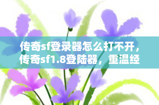 传奇sf登录器怎么打不开图片