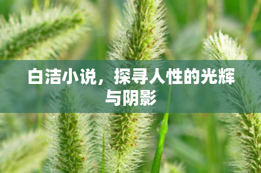 探寻人性的光辉与阴影图片