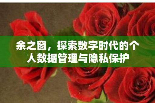 探索数字时代的个人数据管理与隐私保护图片
