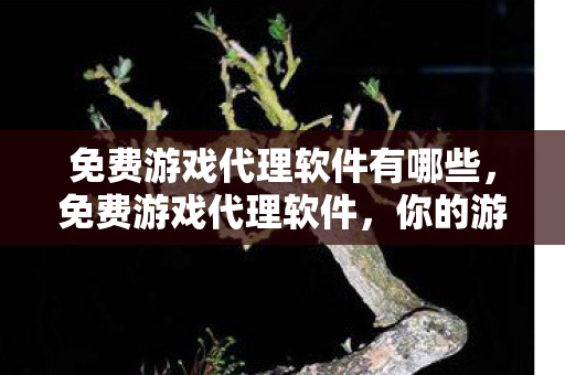 免费游戏代理软件有哪些图片