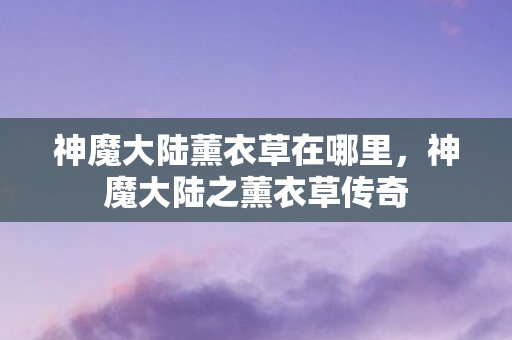 神魔大陆薰衣草在哪里，神魔大陆之薰衣草传奇
