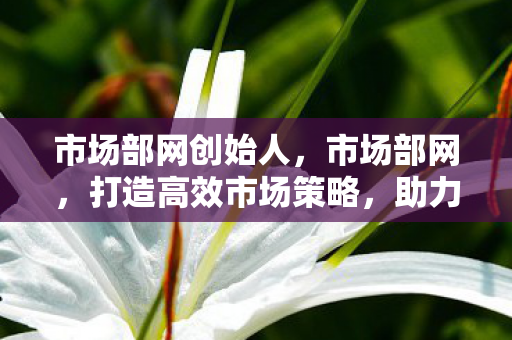 助力企业数字化转型图片