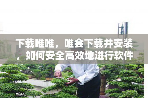 如何安全高效地进行软件安装图片