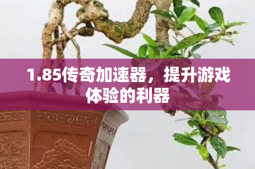 提升游戏体验的利器图片