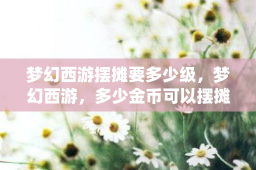 梦幻西游摆摊要多少级图片