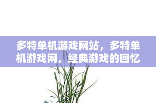 经典游戏的回忆与传承图片