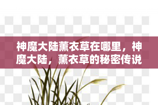 神魔大陆薰衣草在哪里，神魔大陆，薰衣草的秘密传说