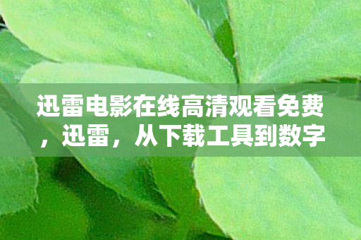 从下载工具到数字生活平台的蜕变图片