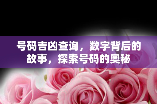 数字背后的故事图片