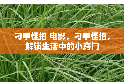 解锁生活中的小窍门图片