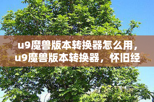 u9魔兽版本转换器怎么用图片