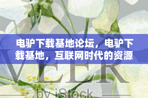 互联网时代的资源宝库图片