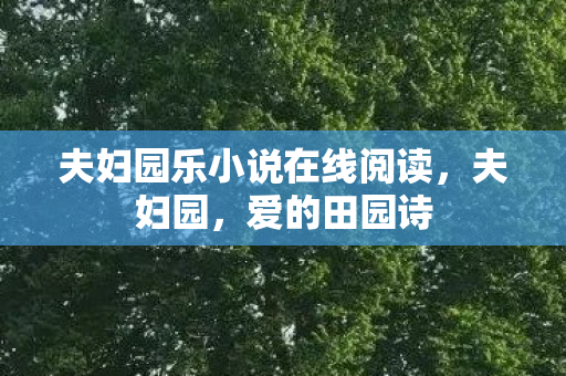 夫妇园乐小说在线阅读图片