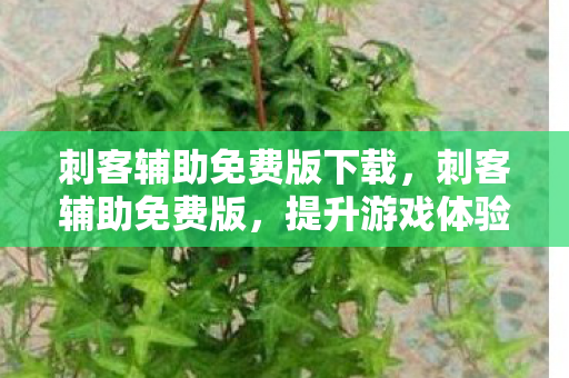 刺客辅助免费版下载图片