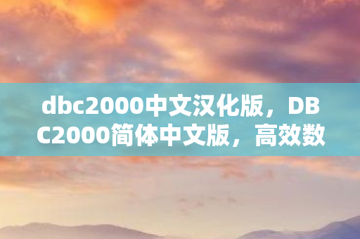 dbc2000中文汉化版图片