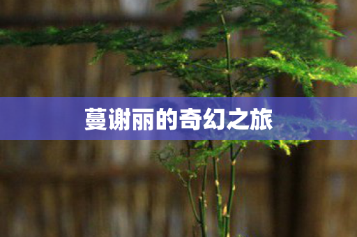 蔓谢丽的奇幻之旅