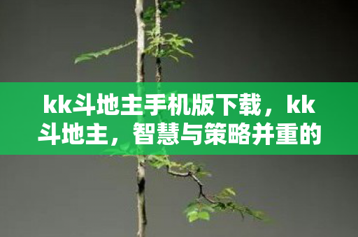 智慧与策略并重的休闲游戏图片