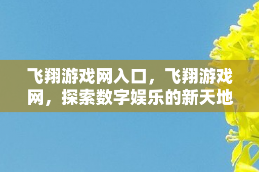 探索数字娱乐的新天地图片