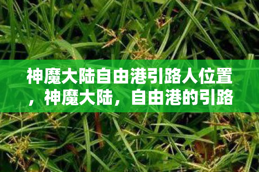 神魔大陆自由港引路人位置，神魔大陆，自由港的引路人