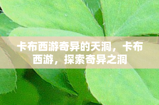 卡布西游奇异的天洞图片