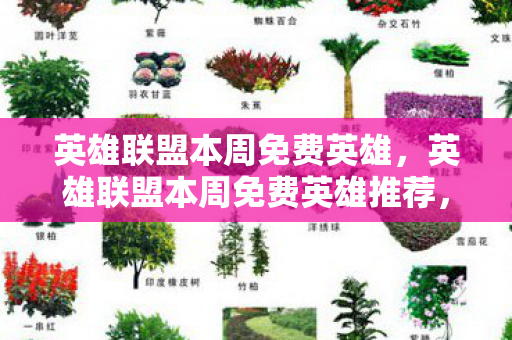 英雄联盟本周免费英雄推荐图片