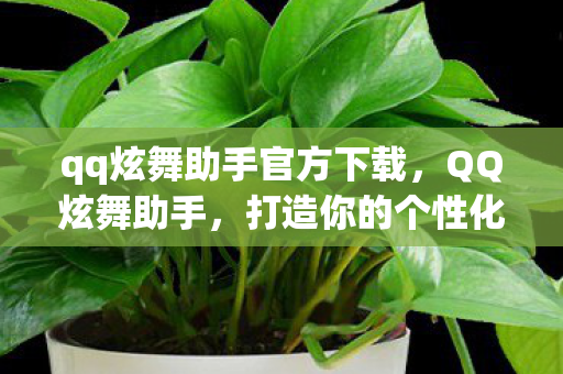 打造你的个性化游戏新体验图片