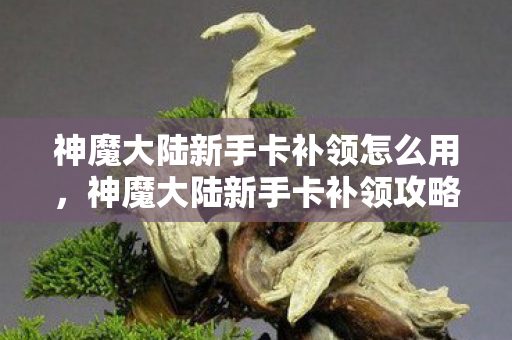 神魔大陆新手卡补领怎么用，神魔大陆新手卡补领攻略