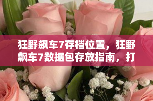 狂野飙车7数据包存放指南图片