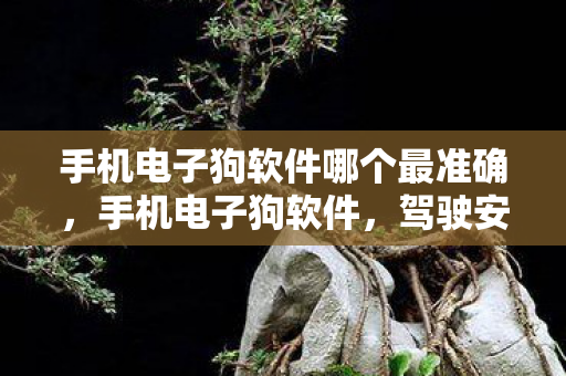 手机电子狗软件哪个最准确图片