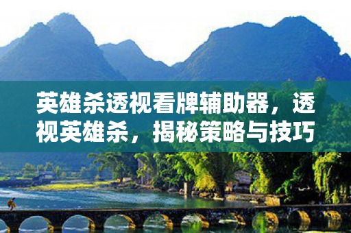 英雄杀透视看牌辅助器图片