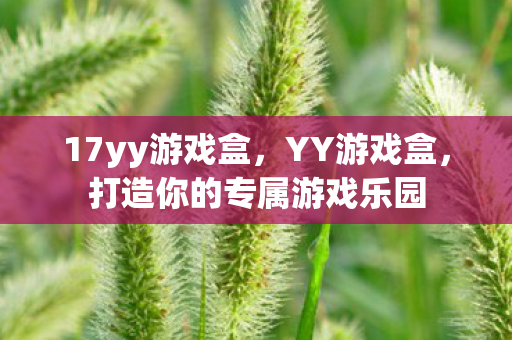 打造你的专属游戏乐园图片