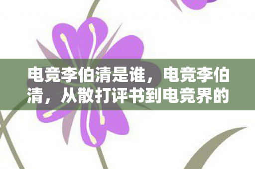 从散打评书到电竞界的传奇图片