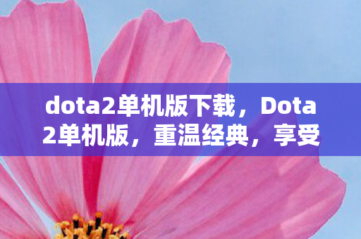 dota2单机版下载图片