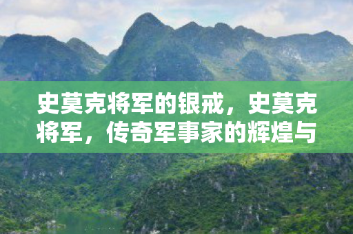 传奇军事家的辉煌与遗憾图片