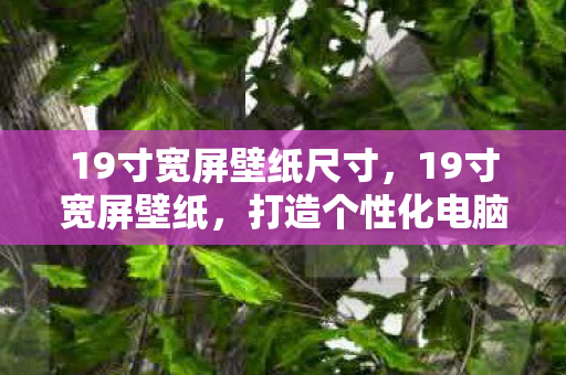 打造个性化电脑桌面的艺术图片
