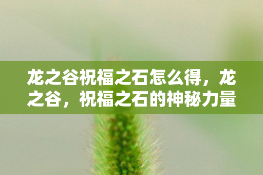 龙之谷祝福之石怎么得图片