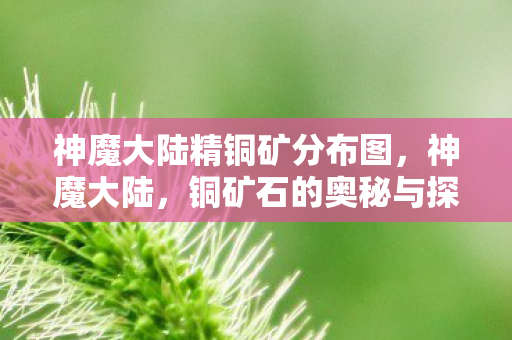 神魔大陆精铜矿分布图，神魔大陆，铜矿石的奥秘与探寻