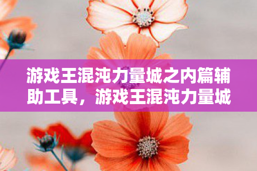游戏王混沌力量城之内篇辅助工具图片