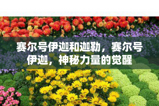 赛尔号伊迦和迦勒图片