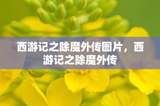 西游记之除魔外传图片图片