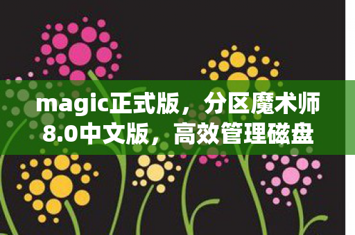 高效管理磁盘空间的利器图片