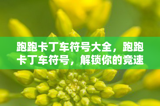跑跑卡丁车符号大全图片